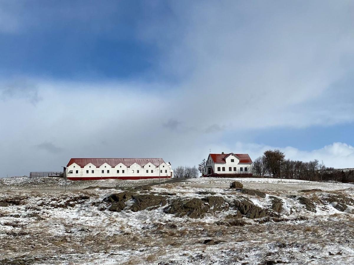 Helluland Guesthouse Saudarkrokur Exterior photo