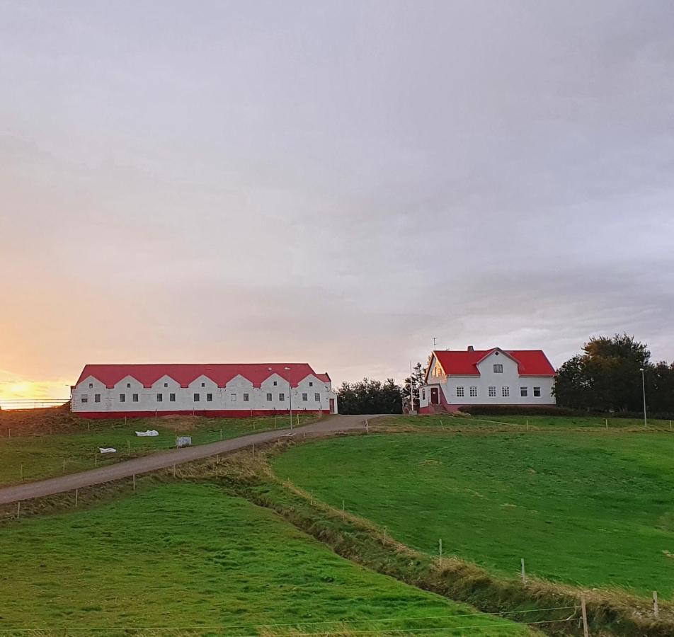 Helluland Guesthouse Saudarkrokur Exterior photo